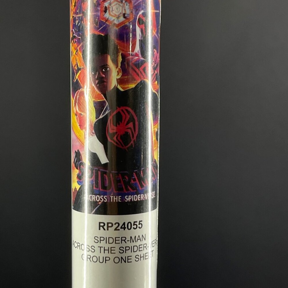 Spider-Man: Across The Spider-Verse Poster RP24055